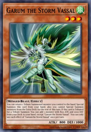 Garum the Storm Vassal