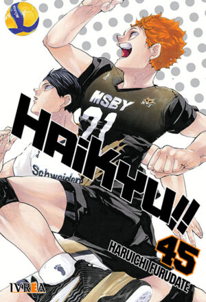 Haikyu!! #45